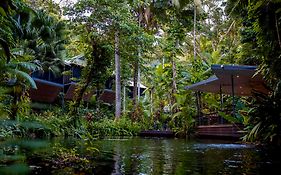 Daintree Ecolodge